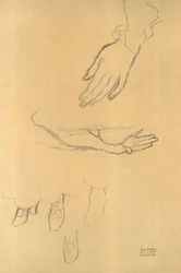 Studi di mani e studio di scarpe